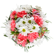 Bursting with the promise of spring renewal, this St John's Wood bouquet has been arranged with artistry and an eye for joyful elegance. At its core, lively white daisies-with vibrant centers-bask in airy clusters of coral-pink carnations, their ruffled shapes dancing among the lighter sprigs of gypsophila. Subtle blushes of alstroemeria and eucalyptus leaves slip gently between the other blooms, infusing the arrangement with a soft fragrance and tonal depth, not unlike the fresh air found wandering past St John's Wood Church Gardens. Each stem is arranged in a gentle circle, radiating outward with intentional grace-like a floral embrace, perfect for celebrating milestones, birthdays, or sending heartfelt congratulations. The bouquet's tranquil palette and exuberant textures capture the peaceful, prosperous energy of NW8, with every detail designed to brighten day-to-day life, whether delivered to a Georgian doorway on Acacia Road or a cheerful gathering on Abbey Road. This bouquet perfectly embodies a florist's devotion to marking life's happiest and most meaningful moments with flowers that reflect the spirit of their community.